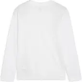 Puma Teamgoal LS Jersey Jr white-black-feather gray (04) 116