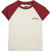 Superdry Essential Logo Raglan Kurzarm-t-shirt