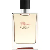 Hermès Paris Terre D'hermes Eau De Parfum Intense Rechargable 100ml Spray
