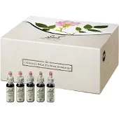 Nelsons GmbH Bachblüten 10 ml Set Tropfen 400 ml
