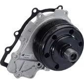PIERBURG Wasserumwälzpumpe, Motorvorwärmsystem 7.07152.48.0