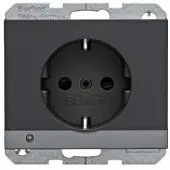 Berker 41097006, Typ F, DIN-Schiene, Anthrazit, Thermoplast, Status, IP20