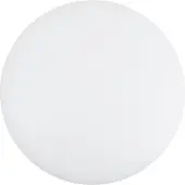 The Light Group LED-Deckenleuchte 25cm 3000K SLC1061 7070938055055