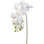 Creativ Green Kunstorchidee "Orchidee Phalaenopsis" mit real-touch-Blüten