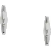 Skagen Agnethe Ohrstecker