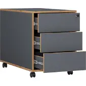 VCM Salia