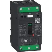 Schneider Electric GV4LE Mag 50A 100kA Elink