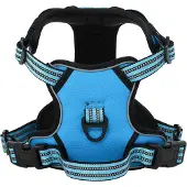 vidaXL Hundegeschirr Reflektierend Verstellbar Blau XL