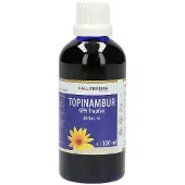 Hecht-Pharma Gmbh Topinambur Tropfen 100 ml
