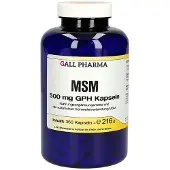 GALL PHARMA MSM 500 mg GPH Kapseln 360 St