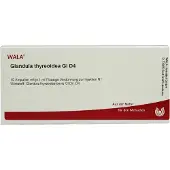 Wala Geneesmiddelen (eigen cnk) Glandula Thyreoidea GL D 4 Ampullen 10X1 ml