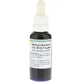 Reinhildis-Apotheke Methylcobalamin Vitamin B12 Tropfen 30 ml