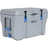 Lifetime Kunststoff Kühlbox Premium 73 L passive Kühlbox Grau 47x76x47 cm