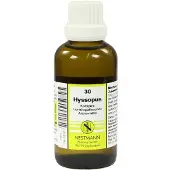 Nestmann Hyssopus Komplex Nr.30 Dilution 50 ml