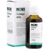 Phönix Laboratorium GmbH Phönix Solidago Spag.mischung 50 ml