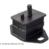 Blue Print Lagerung, Motor ADBP800457