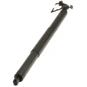 MAXGEAR Gasfeder, Einlegeboden (Koffer-/Laderaum) 12-2556