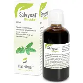 Johannes Bürger Ysatfabrik GmbH Salvysat Flüssigkeit 100 ml zum Einnehmen