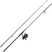Mitchell Catch Pro Ii Karpfen-angelset