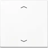 JUNG Steuertaste Standard A 1700 P WW A1700PWW