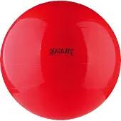 Gymnic Fitnessball 1 St