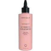 Löwengrip Shine Bright - Glossing Treatment 150 ml