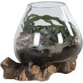 Ebuy24 San