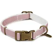 Designed By Lotte Virante Hundehalsband