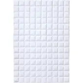 Kaufmann Daunendecke Österreichische Weidegans 200x200 cm leicht