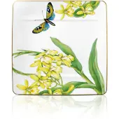 Villeroy & Boch Frühstücksteller "Frühstücksteller Amazonia 23 x 23 cm bunt"
