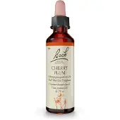 Nelsons GmbH Bachblüten Cherry Plum Tropfen 20 ml