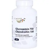 Vita World GmbH Glucosamin 750 Mg+chondroitin 100 mg Kap 100 St