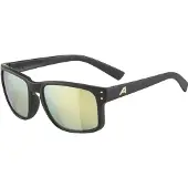 Alpina KOSMIC, Multisportbrille, Uni, Vollrand, Schwarz, Nylon, Schwarz