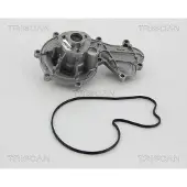 TRISCAN Wasserpumpe 8600 29058