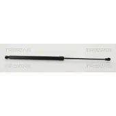 TRISCAN Gasfeder, Koffer-/Laderaum 8710 42245