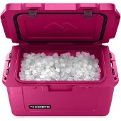 Dometic Patrol 35 l Kühlbox / Orchid