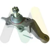 MOTAQUIP Trag-/Führungsgelenk LVSJ894