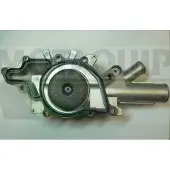 MOTAQUIP Wasserpumpe VWP841