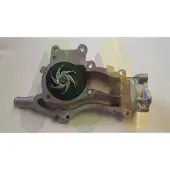 MOTAQUIP Wasserpumpe LVWP961