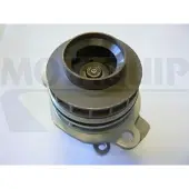 MOTAQUIP Wasserpumpe VWP870