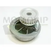 MOTAQUIP Wasserpumpe VWP828