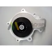 MOTAQUIP Wasserpumpe LVWP998