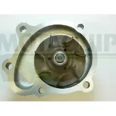 MOTAQUIP Wasserpumpe VWP835