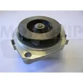 MOTAQUIP Wasserpumpe VWP904