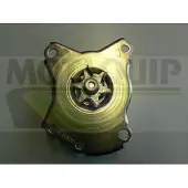 MOTAQUIP Wasserpumpe VWP851