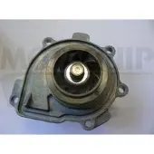 MOTAQUIP Wasserpumpe VWP876