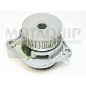MOTAQUIP Wasserpumpe VWP751