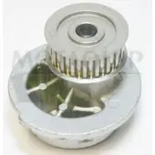 MOTAQUIP Wasserpumpe VWP254