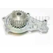 MOTAQUIP Wasserpumpe VWP781