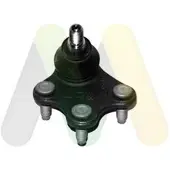 MOTAQUIP Trag-/Führungsgelenk LVSJ1180